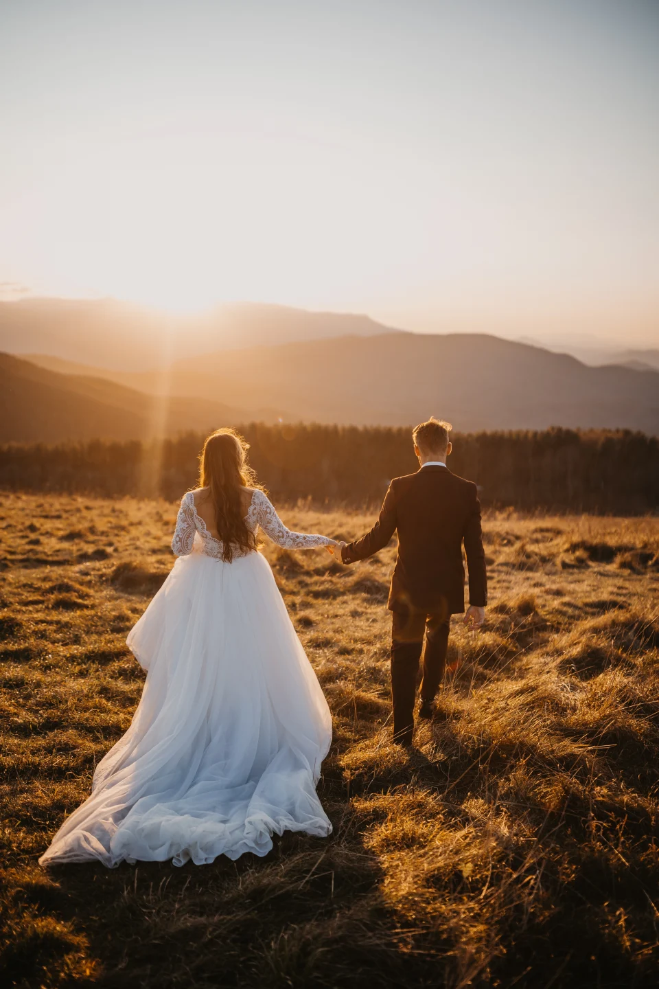 Photographie représentant un couplant courant vers le crépuscule